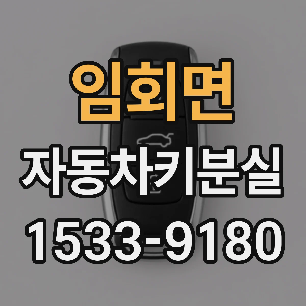 임회면 자동차키분실