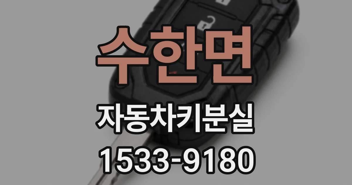 수한면 자동차키분실