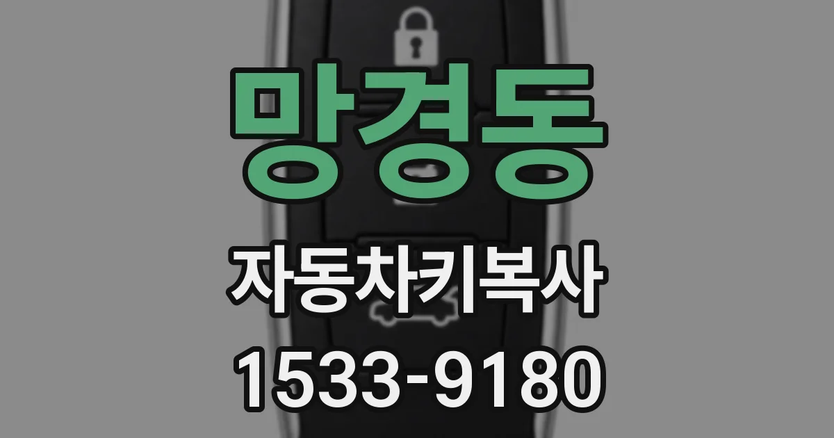 망경동 자동차키복사