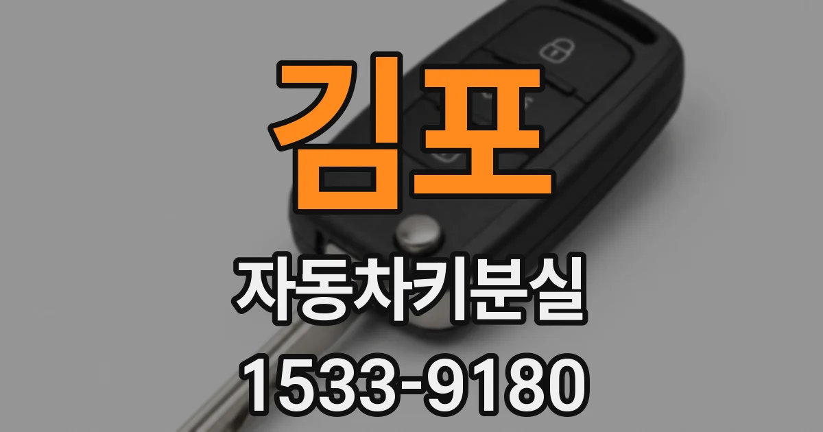 김포 자동차키분실