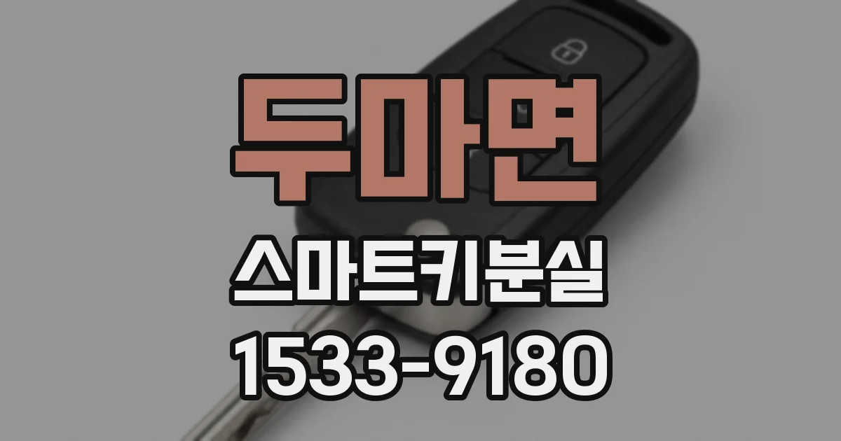 두마면 스마트키분실