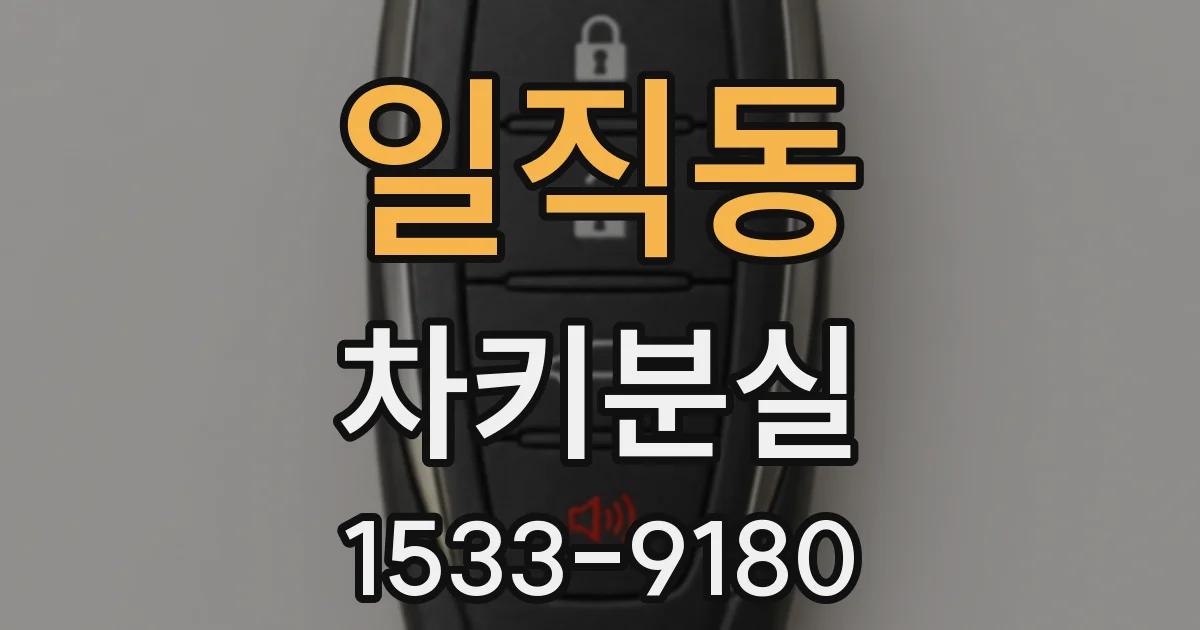 일직동 차키분실