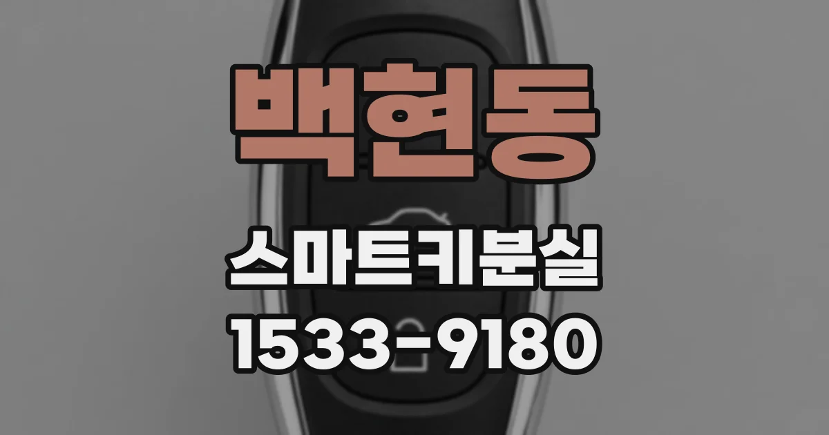 백현동 스마트키분실