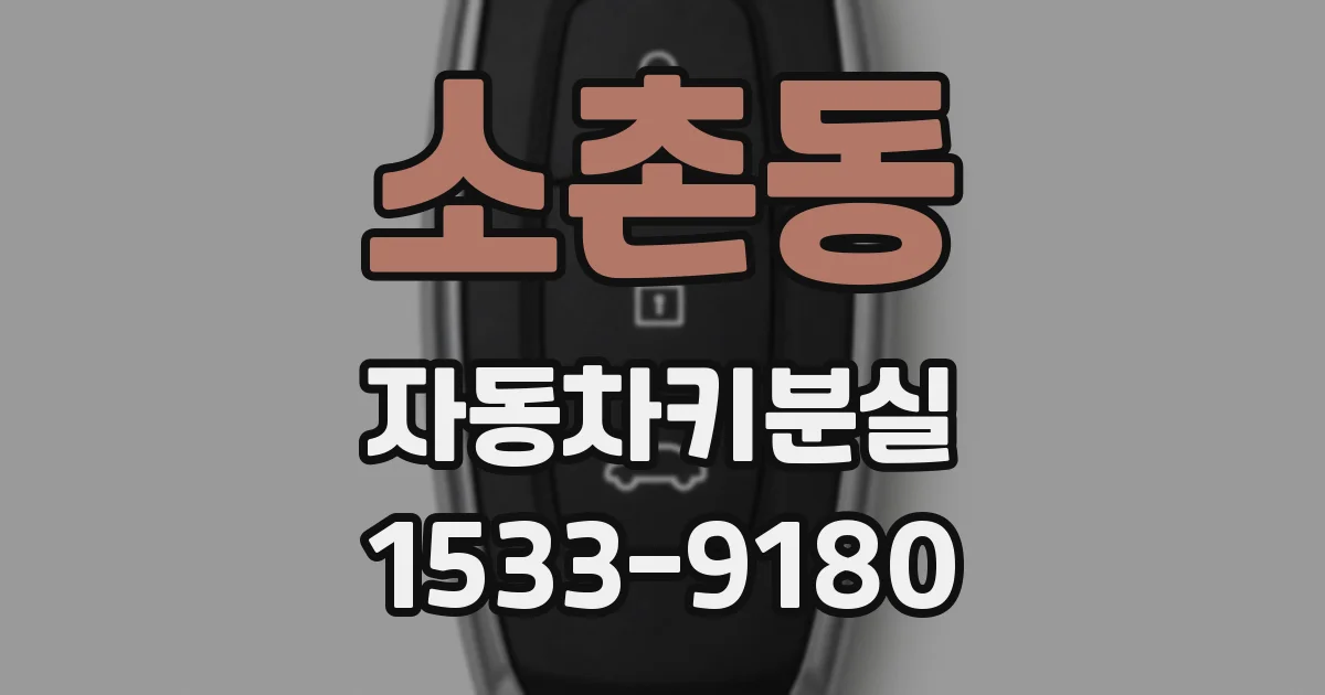 소촌동 자동차키분실