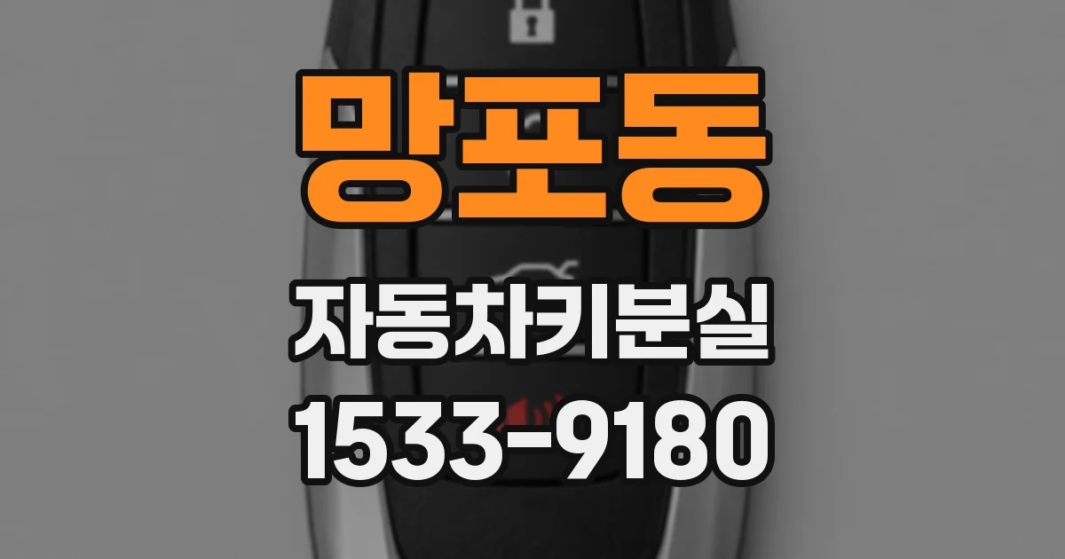 망포동 자동차키분실