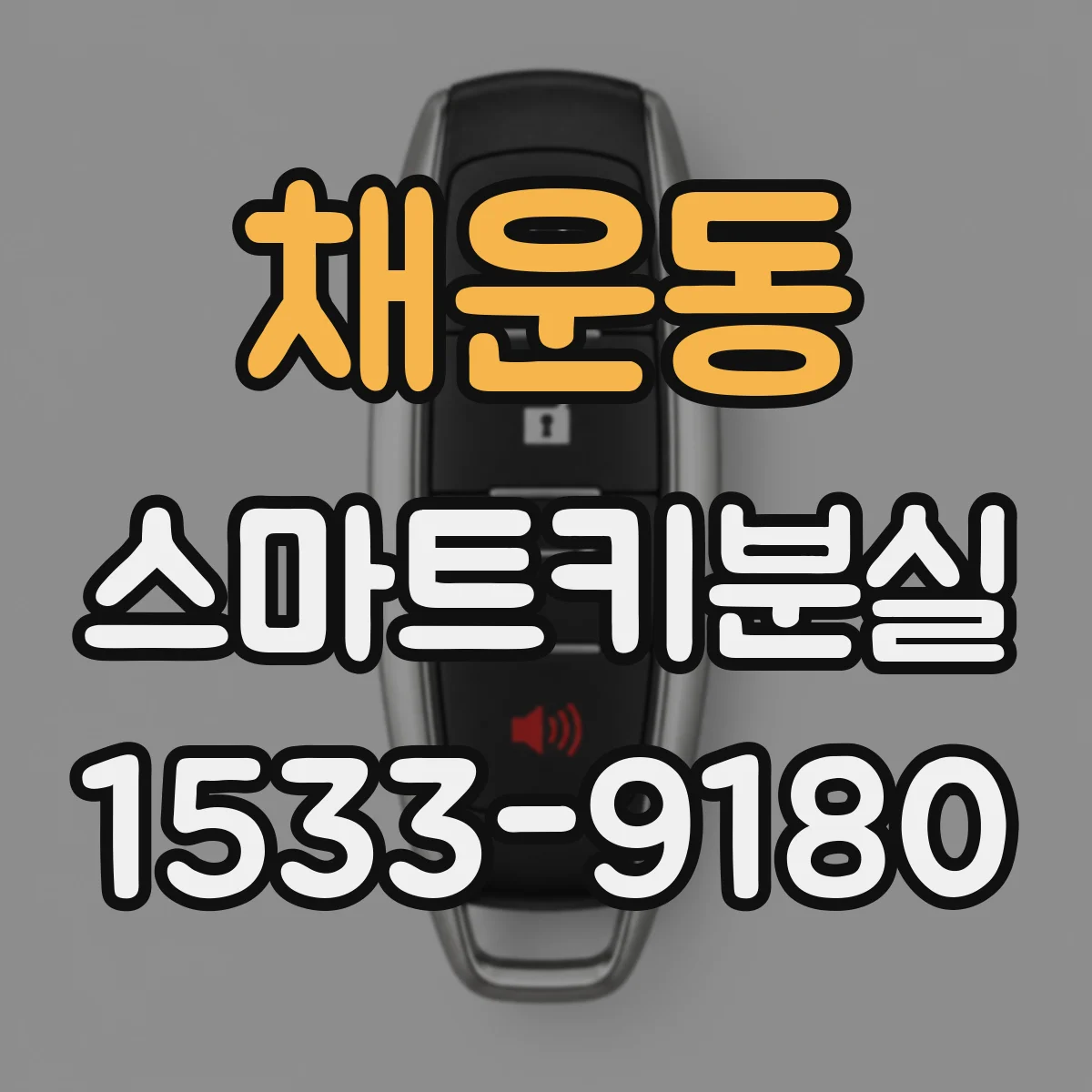 채운동 스마트키분실 후 점화가 안 될 때 이모빌라이저 원인