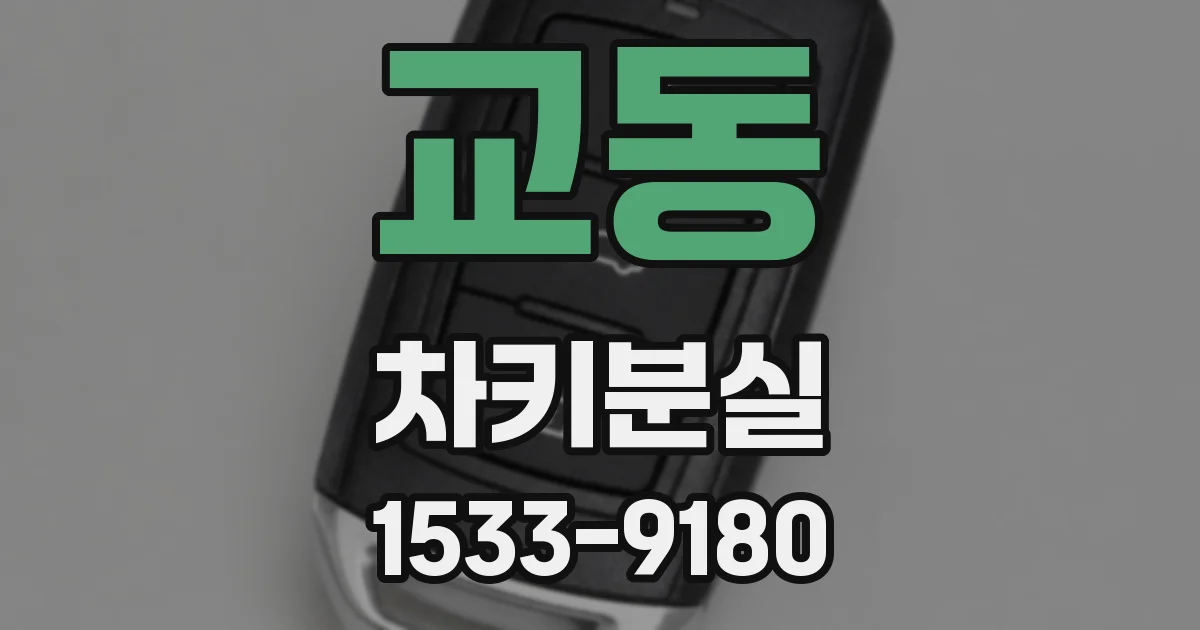 교동 차키분실
