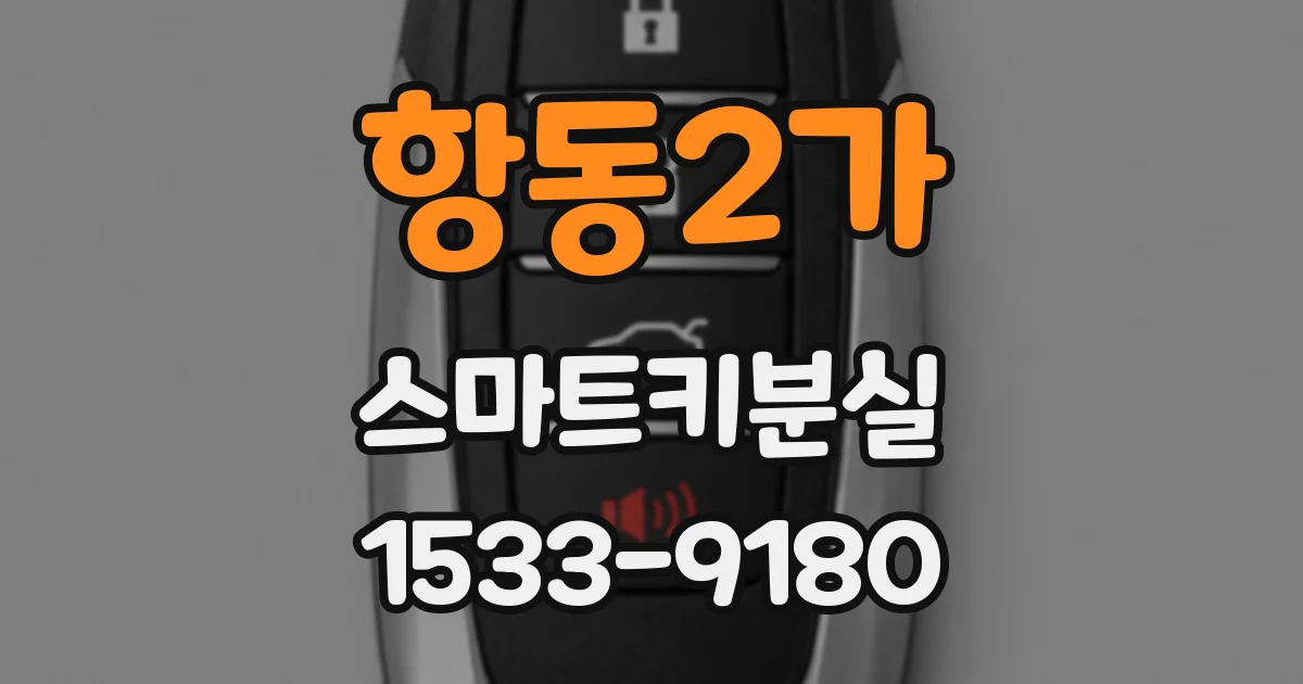 항동2가 스마트키분실