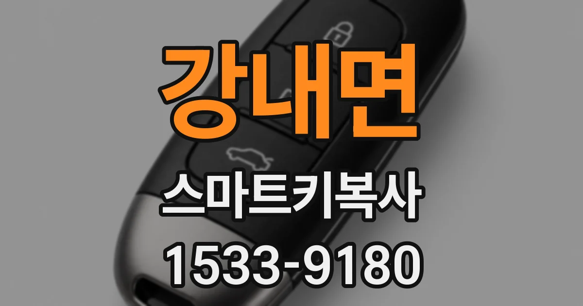 강내면 스마트키복사