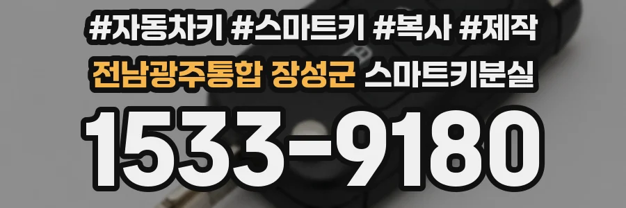전남광주통합 장성군 스마트키분실