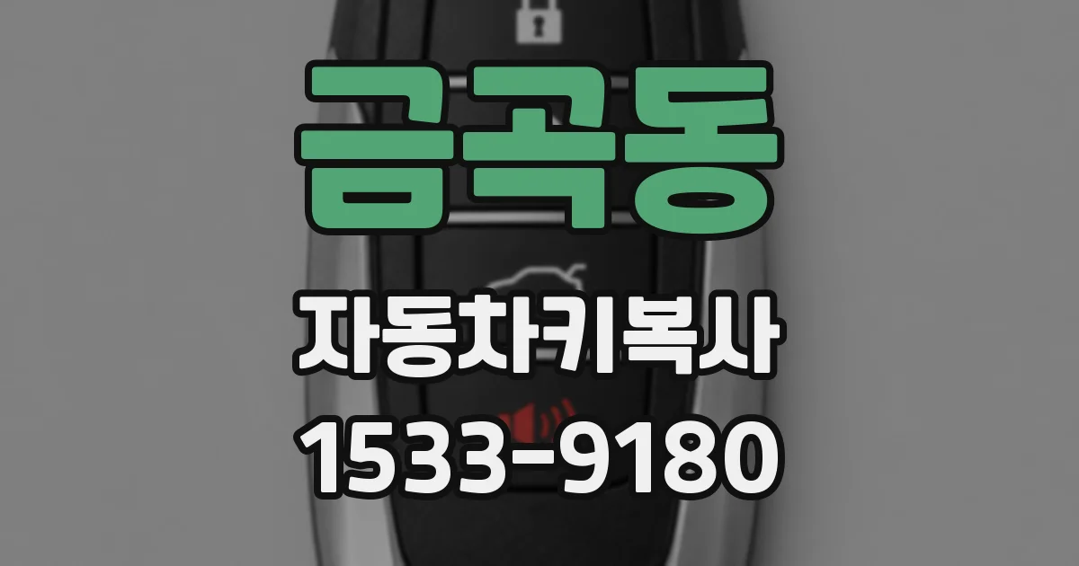 금곡동 자동차키복사