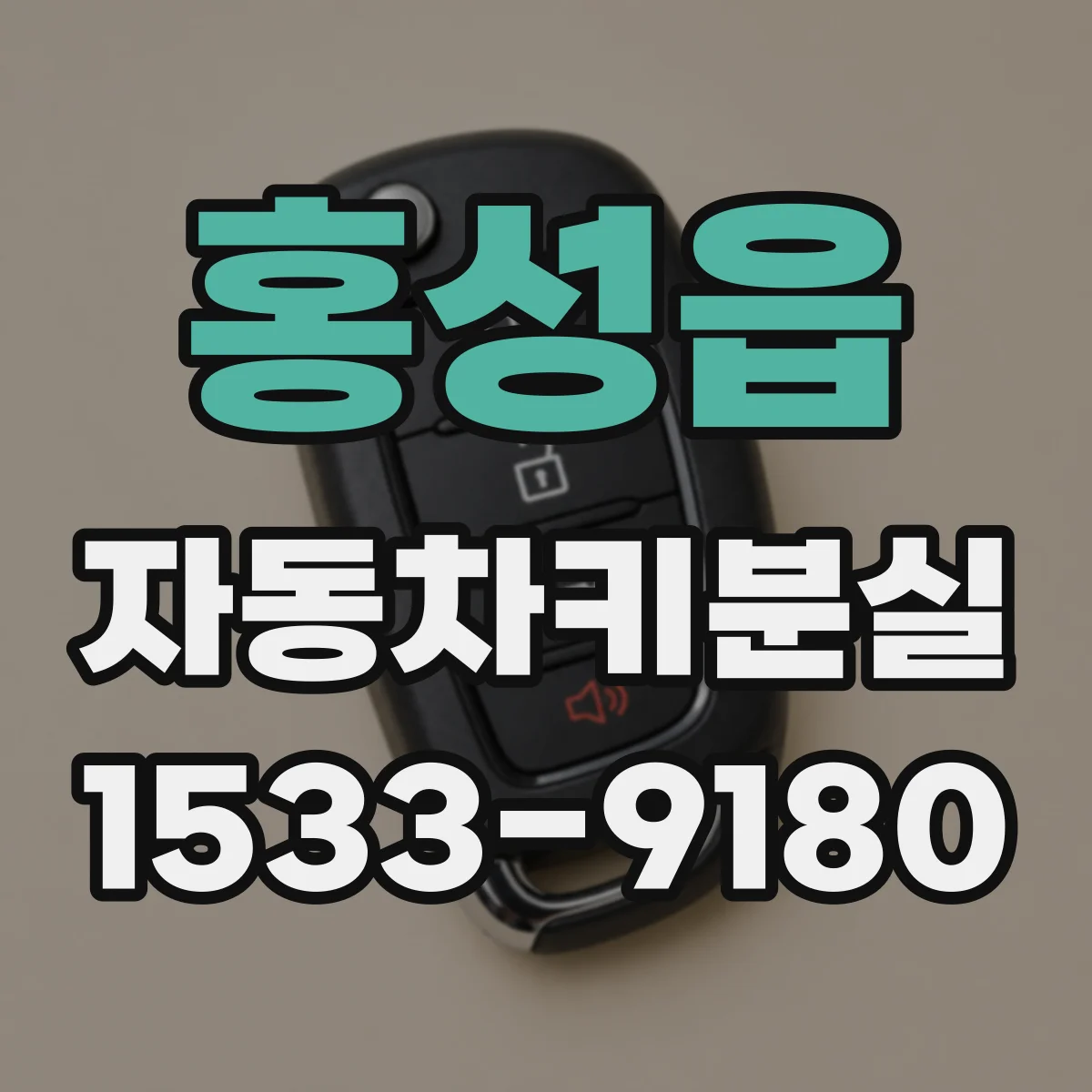 홍성읍 자동차키분실