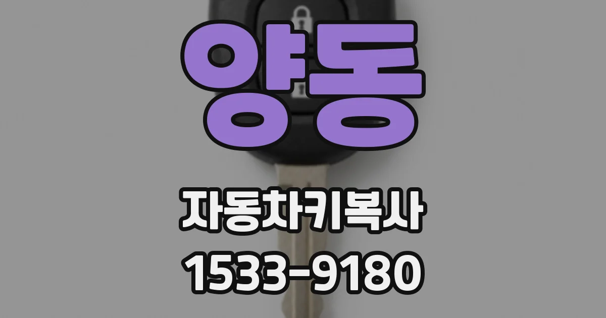 양동 자동차키복사