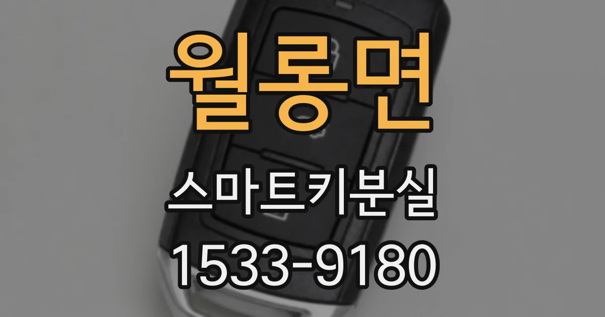 월롱면 스마트키분실