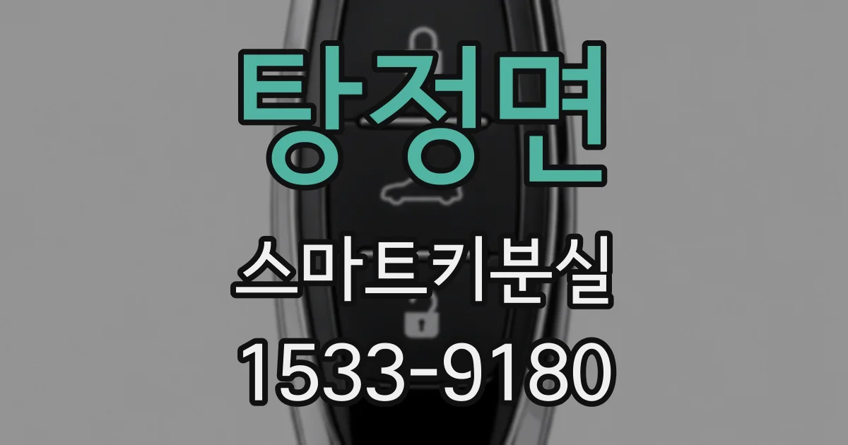 탕정면 스마트키분실