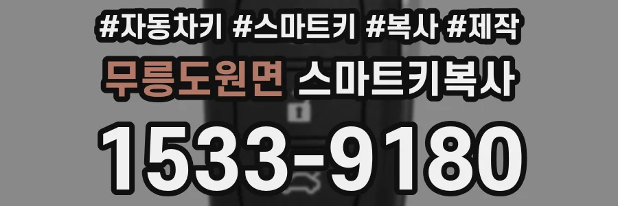 무릉도원면 스마트키복사