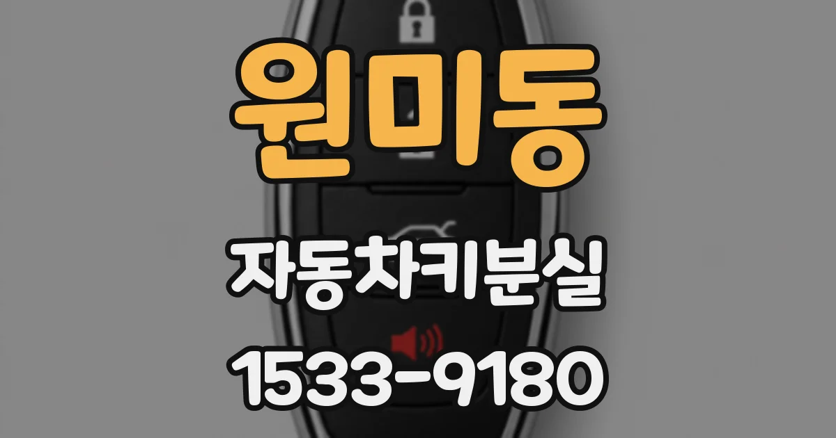 원미동 자동차키분실