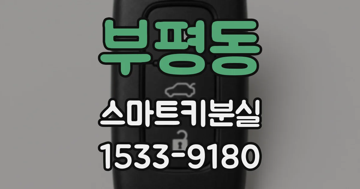 부평동 스마트키분실