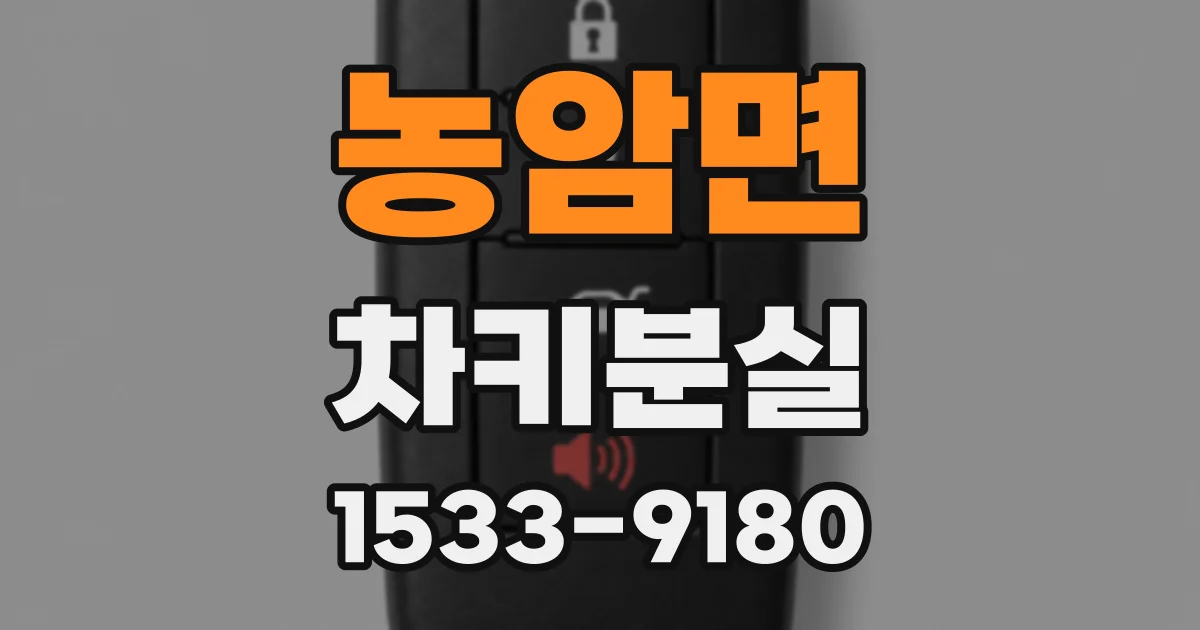 농암면 차키분실