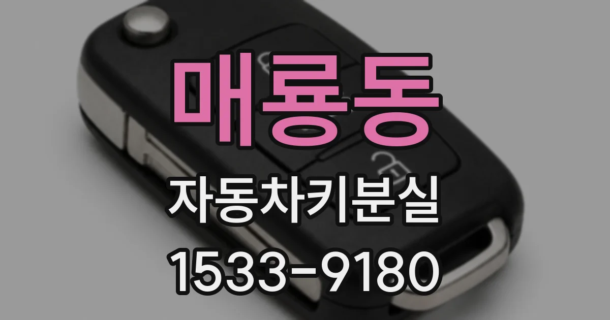 매룡동 자동차키분실