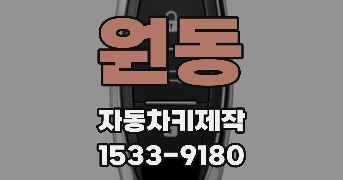 원동 자동차키제작