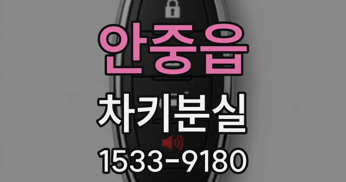 안중읍 차키분실