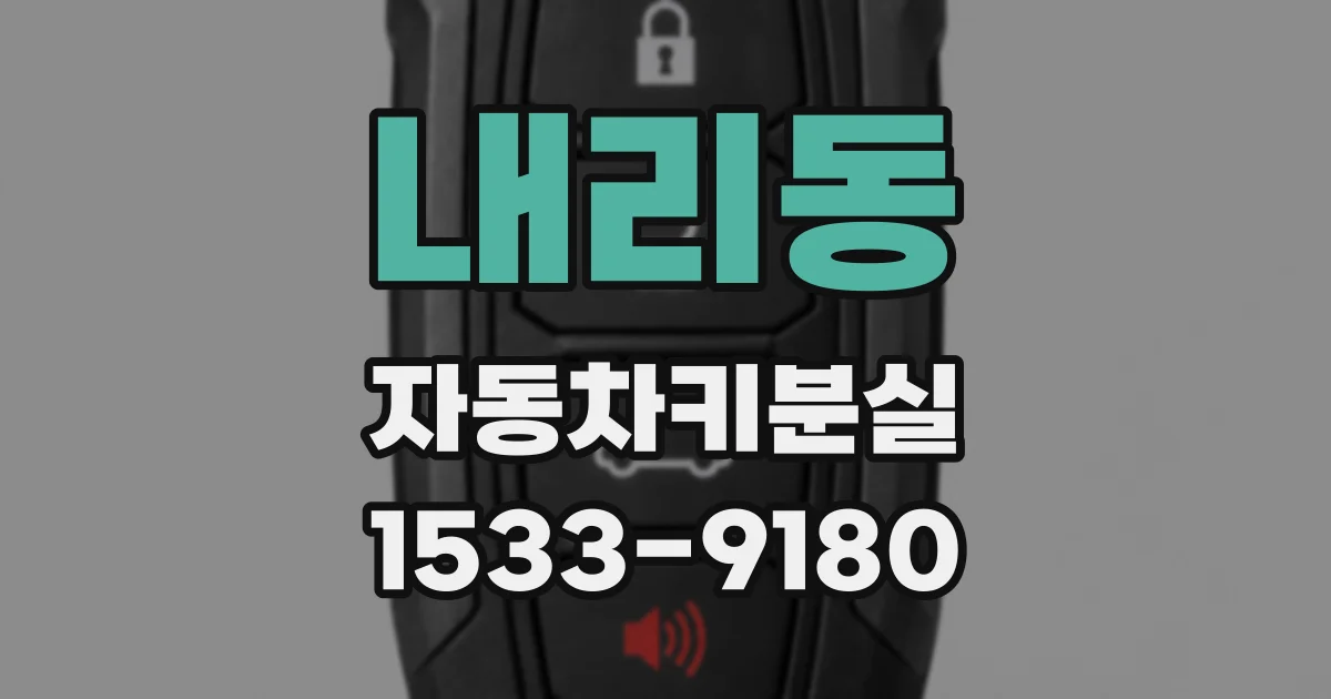 내리동 자동차키분실