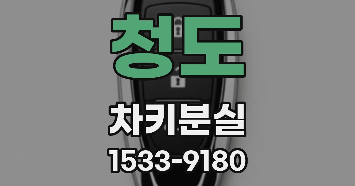 청도 차키분실