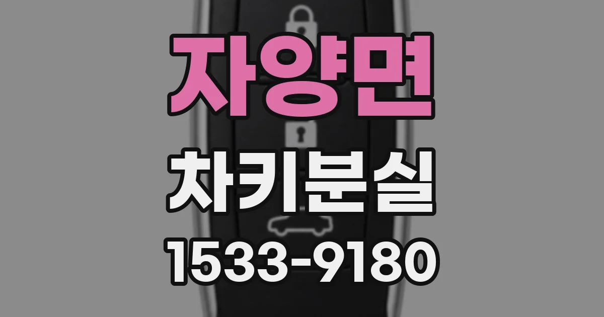 자양면 차키분실