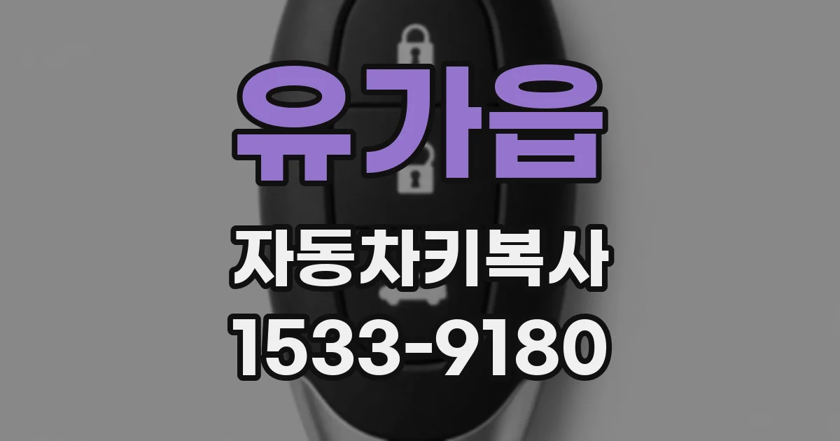 유가읍 자동차키복사