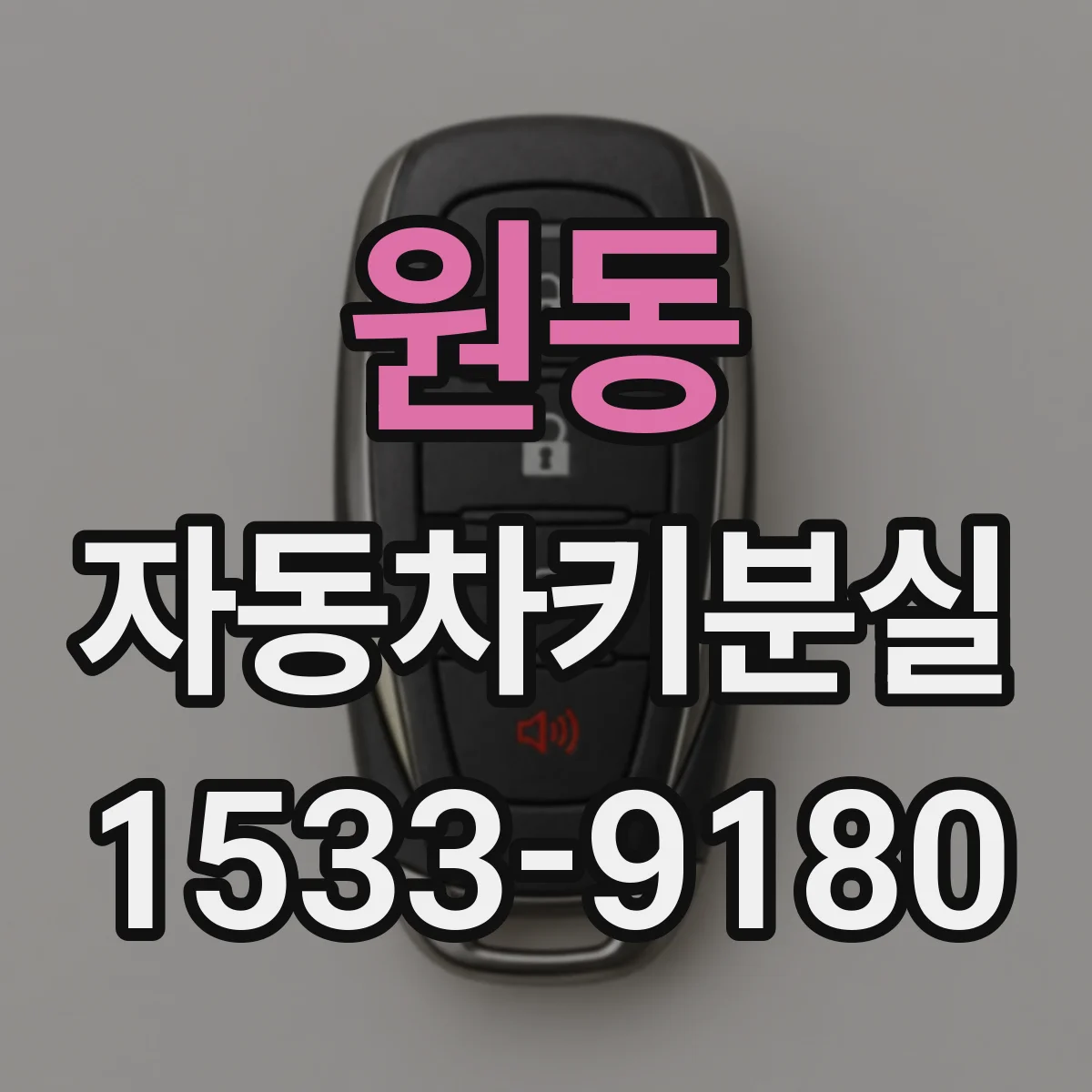 원동 자동차키분실