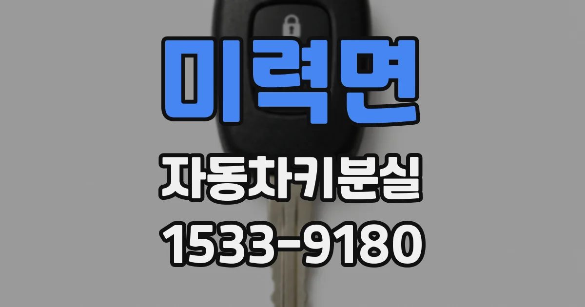 미력면 자동차키분실