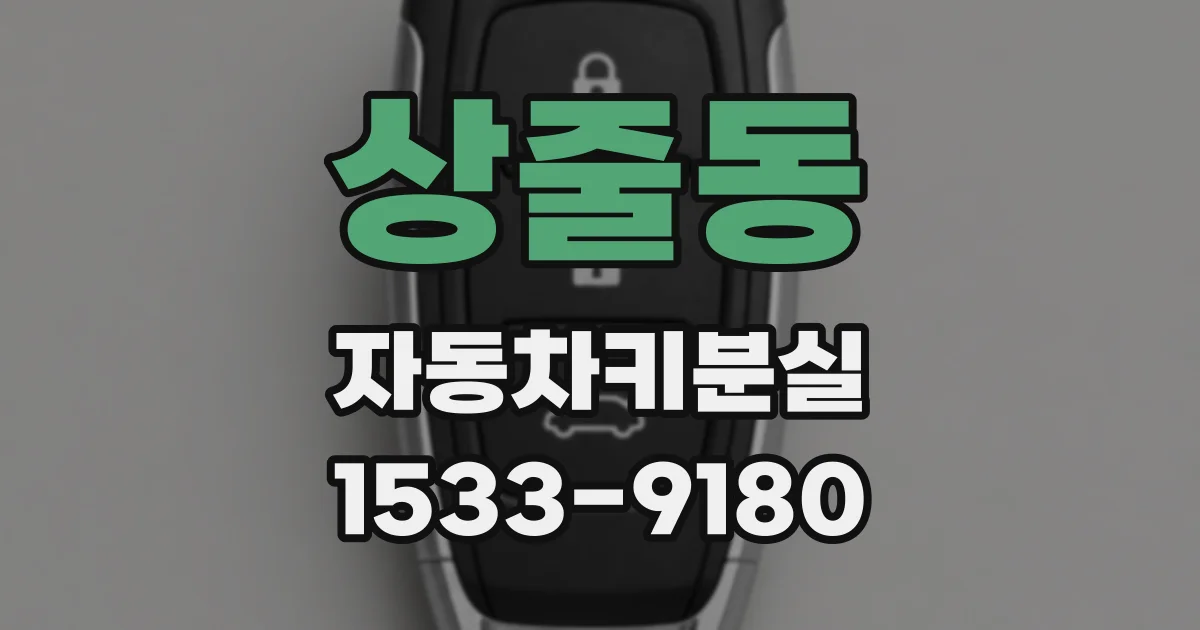 상줄동 자동차키분실