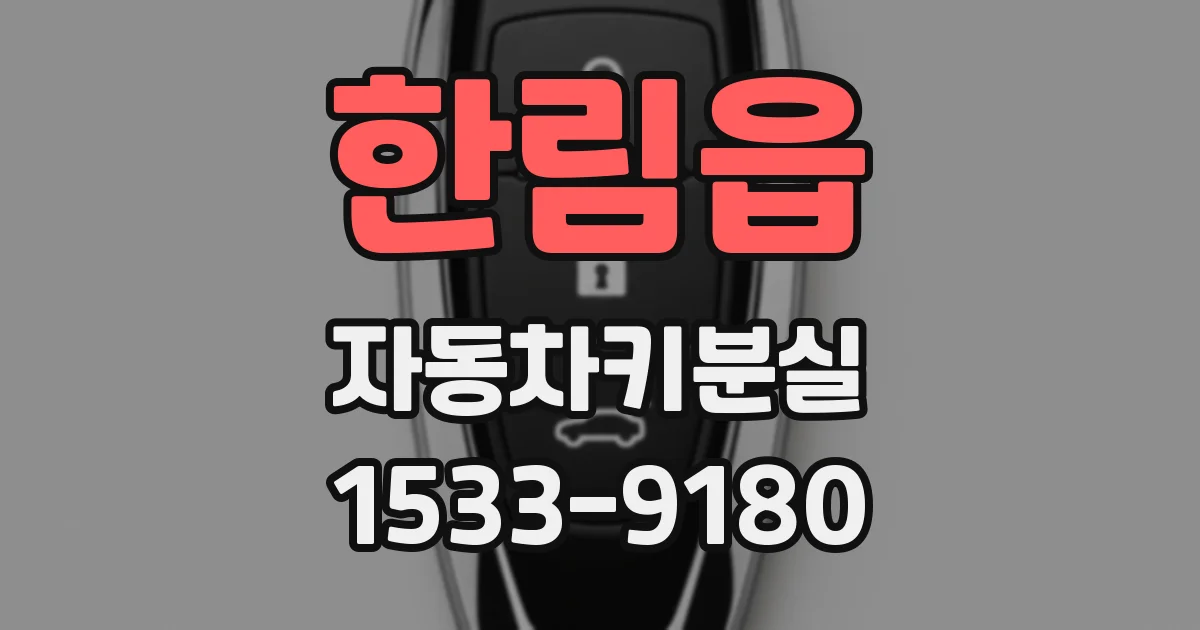 한림읍 자동차키분실
