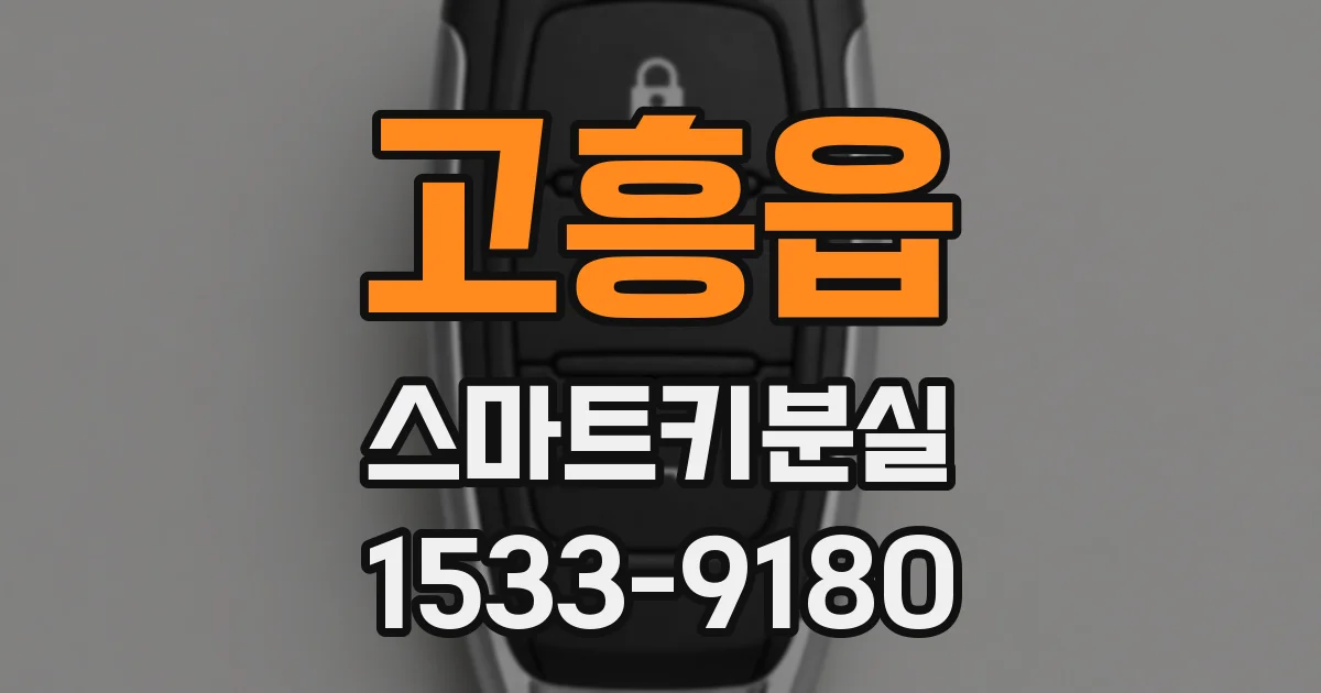 고흥읍 스마트키분실