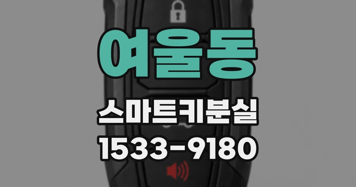 여울동 스마트키분실