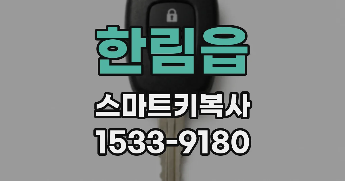 한림읍 스마트키복사