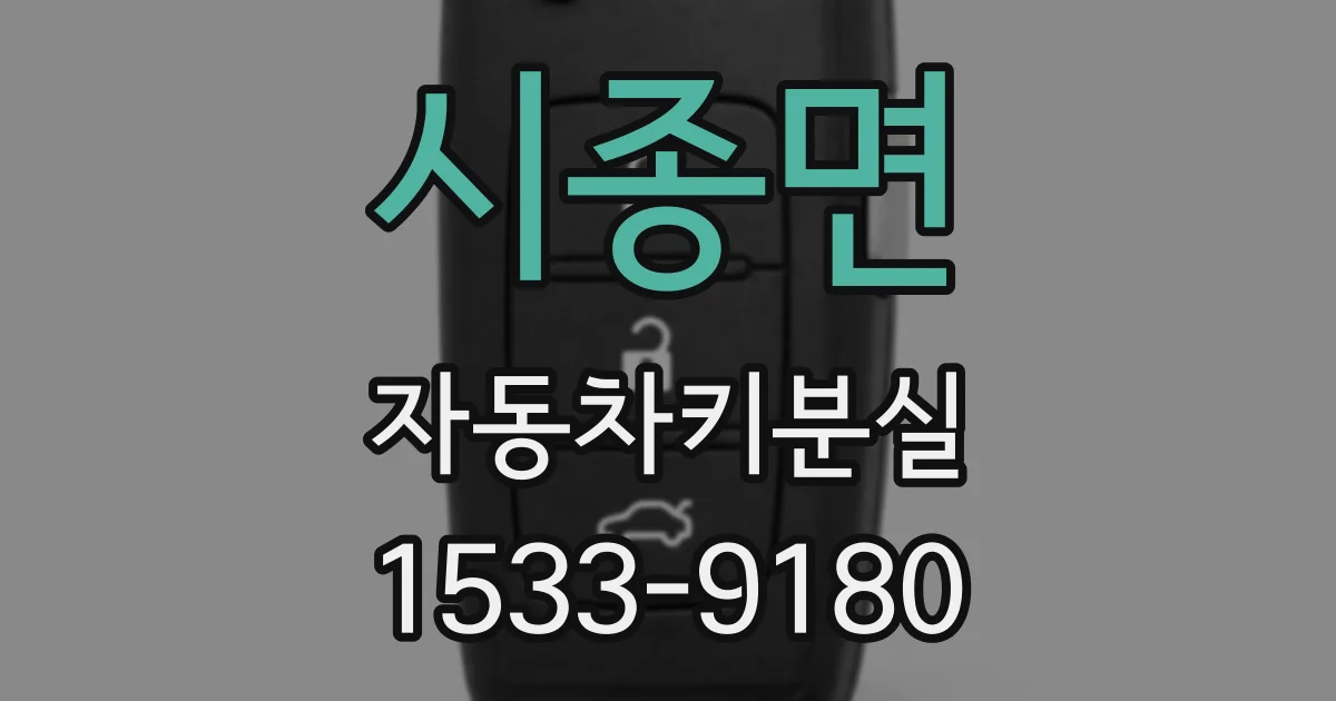 시종면 자동차키분실