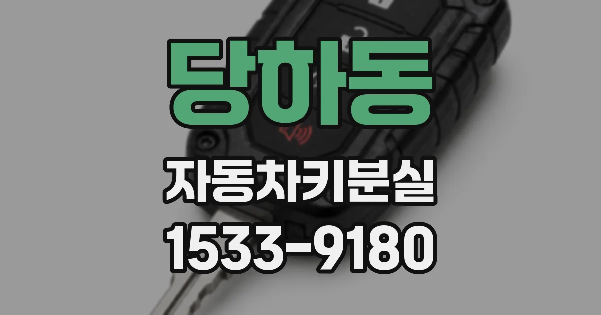 당하동 자동차키분실