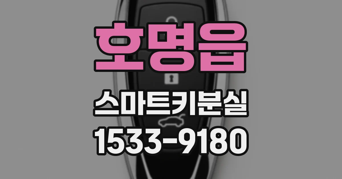 호명읍 스마트키분실