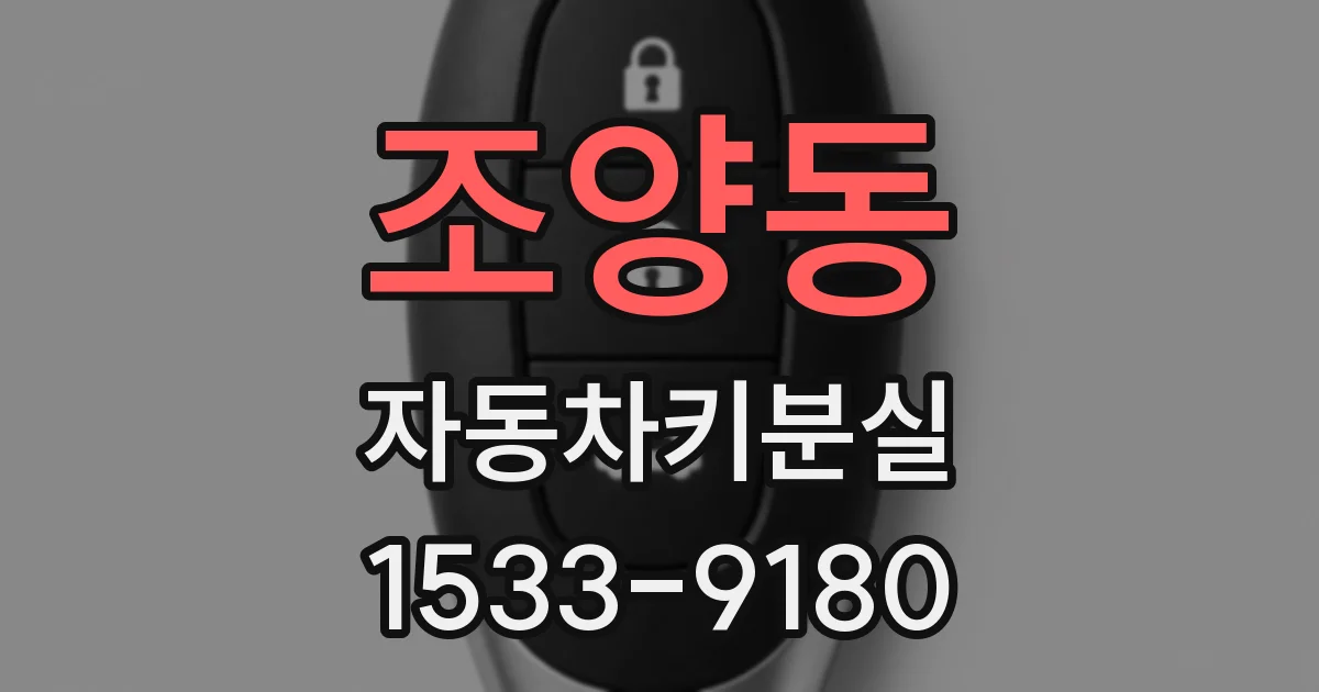 조양동 자동차키분실