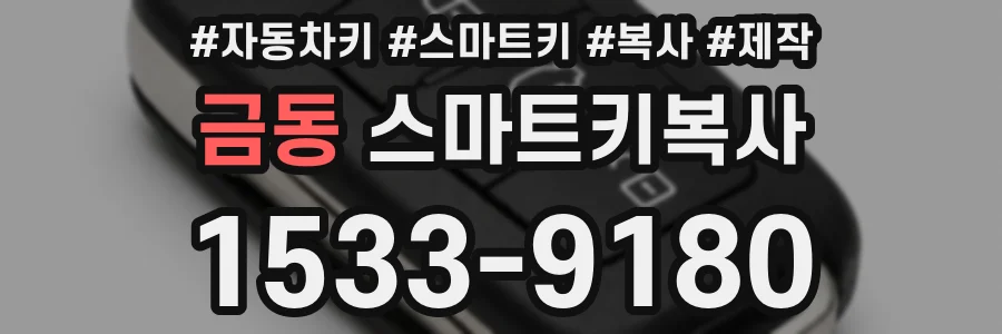 금동 스마트키복사
