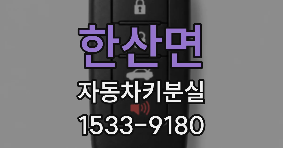한산면 자동차키분실