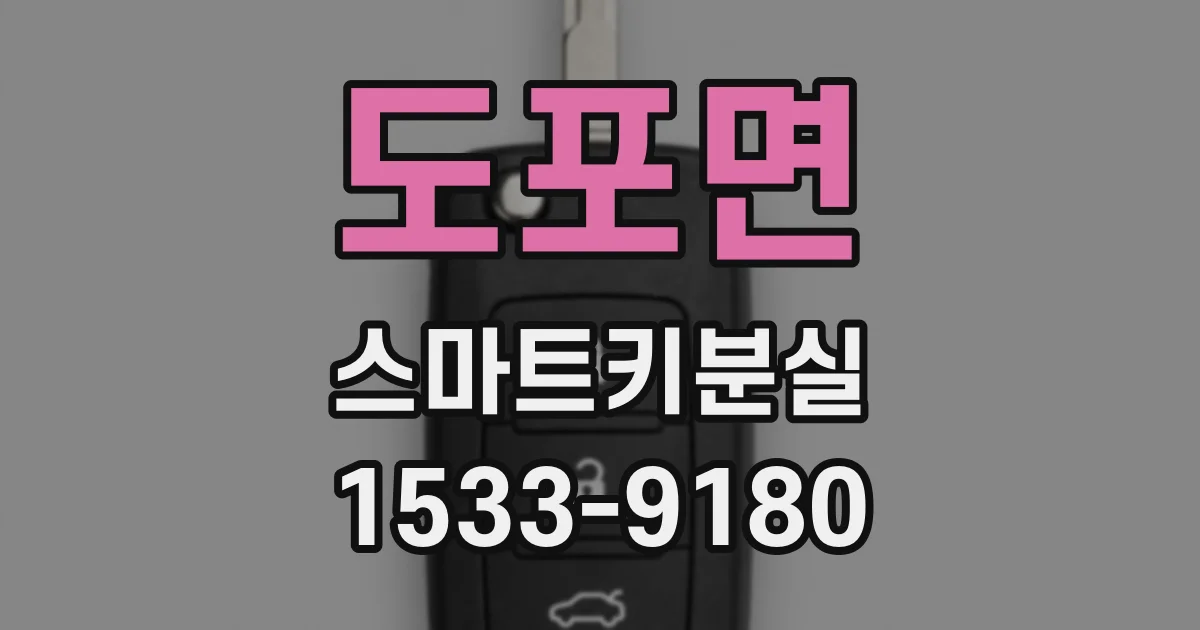 도포면 스마트키분실