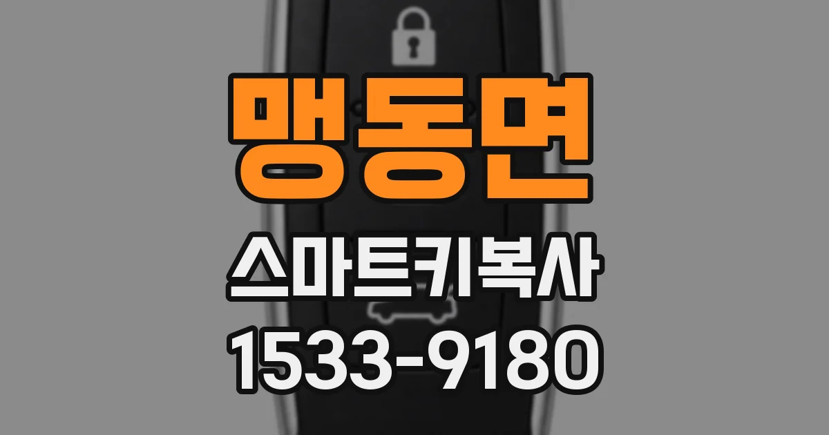 맹동면 스마트키복사