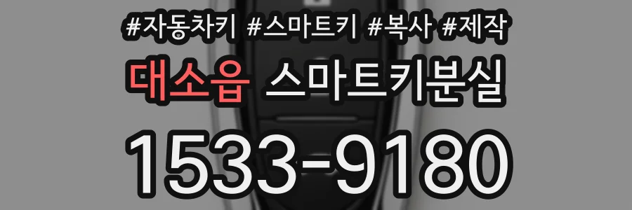 대소읍 스마트키분실