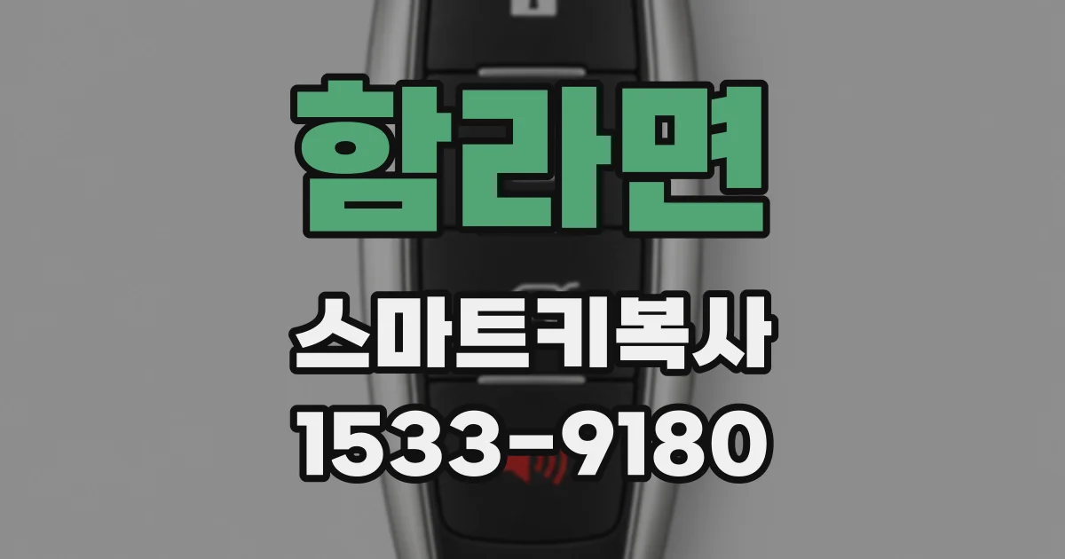 함라면 스마트키복사