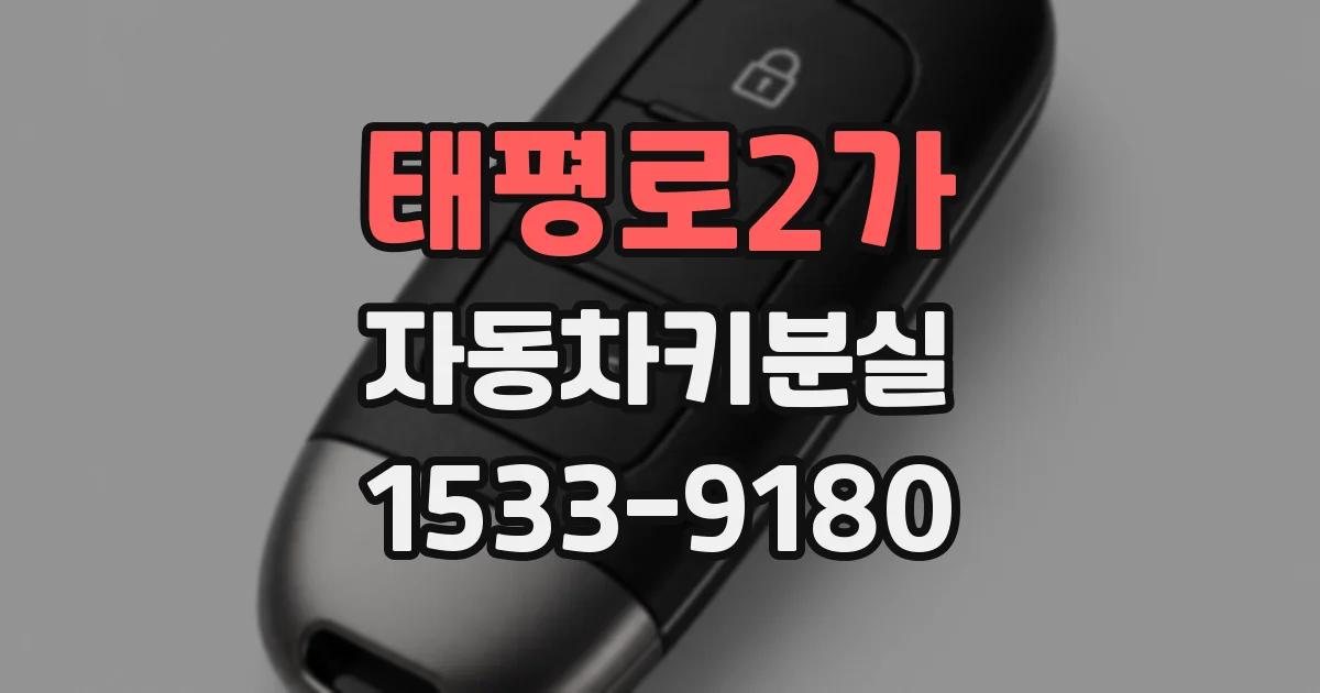 태평로2가 자동차키분실