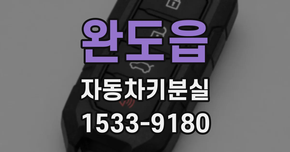 완도읍 자동차키분실