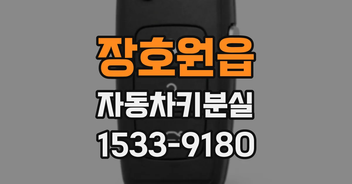 장호원읍 자동차키분실